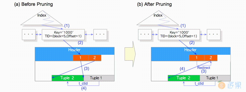 pruning